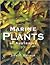 Marine Plants of Australia