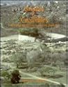 Snakes and Crocodiles by Thomas Huffman