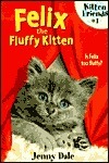 Felix the Fluffy Kitten
