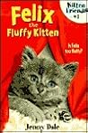Felix the Fluffy Kitten by Jenny Dale