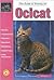 The Guide to Owning an Ocicat