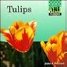 Tulips (Flowers) Tulips (Flowers)
