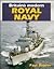 Britain's Modern Royal Navy