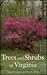 Trees and Shrubs of Virginia