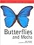 Nature Fact File Butterflies & Moths