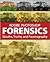 Adobe Photoshop Forensics
