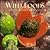Wild Foods of the Sonoran Desert