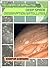 The Library of Satellites: Deep Space Observation Satellites