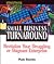 Streetwise Small Business Turnaround: Revitalizing Your Struggling or Stagnant Enterprise (Adams Streetwise Series)