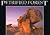 Petrified Forest (National Park, AZ) (Postcard Books)