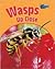 Wasps Up Close (Perspectives)
