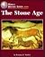 The Stone Age (World History Series)