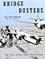 Bridge Busters: The Story of the 394th Bomb Group