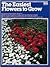 Easiest Flowers to Grow