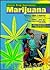 Marijuana (Junior Drug Awareness)