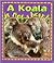 The Koala Is Not a Bear! (Crabapples)