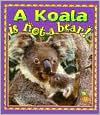 The Koala Is Not a Bear! (Crabapples)