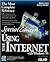Using the Internet with Win...