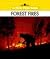 Forest Fires (New True Book)