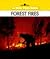 Forest Fires (New True Book)