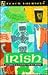Irish: A Complete Course for Beginners (Teach Yourself Books (Lincolnwood, Ill.).)