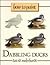 How to Paint Dabbling Ducks: A Guide to Materials, Tools, and Technique