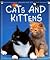 Cats and Kittens by Katherine Starke