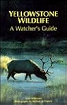 Yellowstone Wildlife: A Watcher's Guide Yellowstone Wildlife: A Watcher's Guide