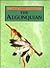 The Algonquian by Rita D'Apice