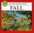 Fall (As the Earth Turns)