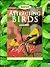 Attracting Birds