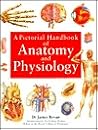 Pictorial Handbook of Anatomy and Physiology