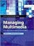 Technical Issues (Managing Multimedia: Project Management for Web and Convergent Media, Third Edition, Book 2)