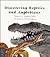 Discovering Reptiles and Amphibians (Learn-About Books)
