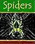 Spiders (Minibeasts)