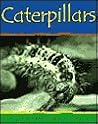 Caterpillars (Minibeasts) Caterpillars (Minibeasts)