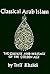 Classical Arab Islam: The C...