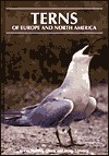 Terns of Europe and North America (Hardcover)