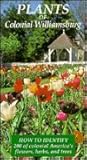 Plants of Colonial Williamsburg: How to Identify 200 of Colonial America's Flowers, Herbs, and Trees