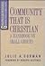Community That Is Christian: A Handbook on Small Groups (Groupbuilder Resources)