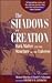 The Shadows of Creation: Dark Matter and the Structure of the Universe