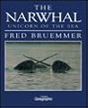Narwhal: Unicorn of the Sea