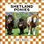 Shetland Ponies