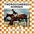 Thoroughbred Horses