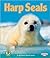 Harp Seals (Early Bird Nature Books)