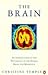 The Brain: An Introduction to the Psychology of the Human Brain and Behavior