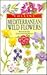 Mediterranean Wild Flowers (Collins Field Guide)