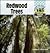 Redwood Trees (Checkerboard Science and Nature Library)