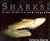 Sharks: True Stories and Legends