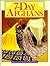 7-Day Afghans